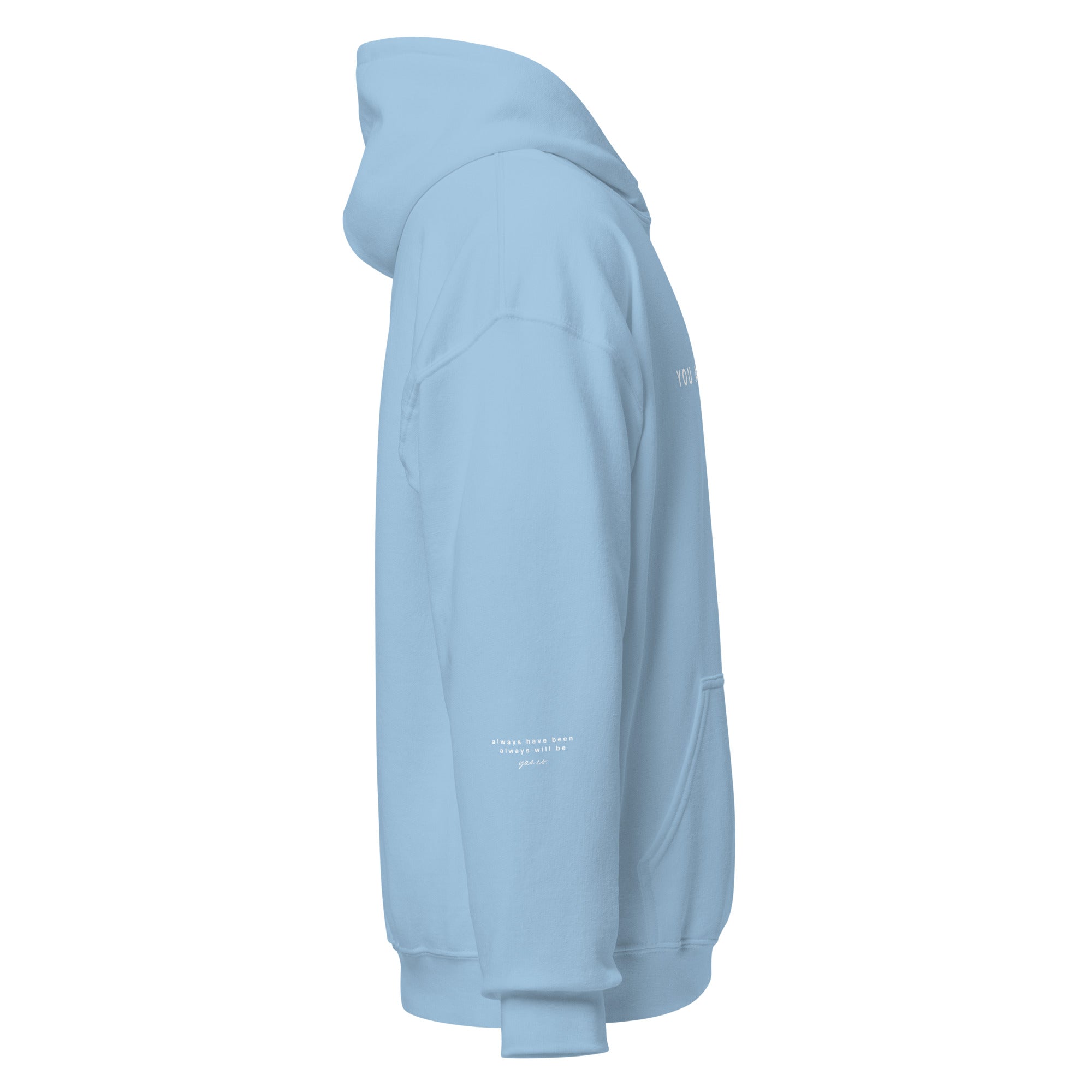 unisex-heavy-blend-hoodie-light-blue-right-660858bbd0ceb.jpg