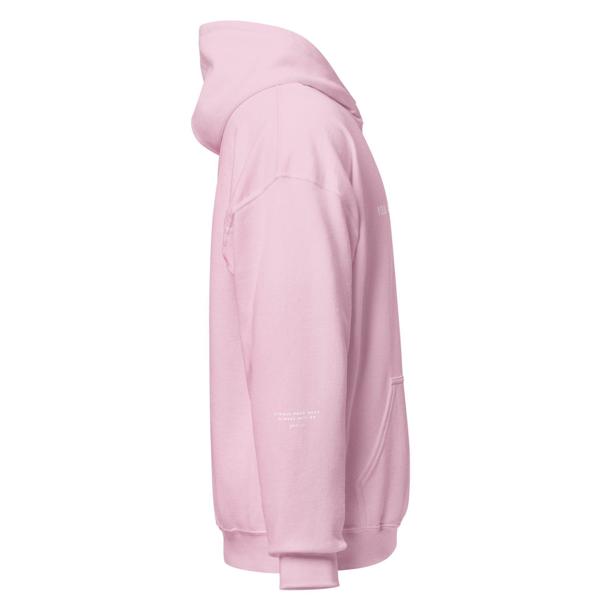 unisex-heavy-blend-hoodie-light-pink-right-660858bbda7da.jpg