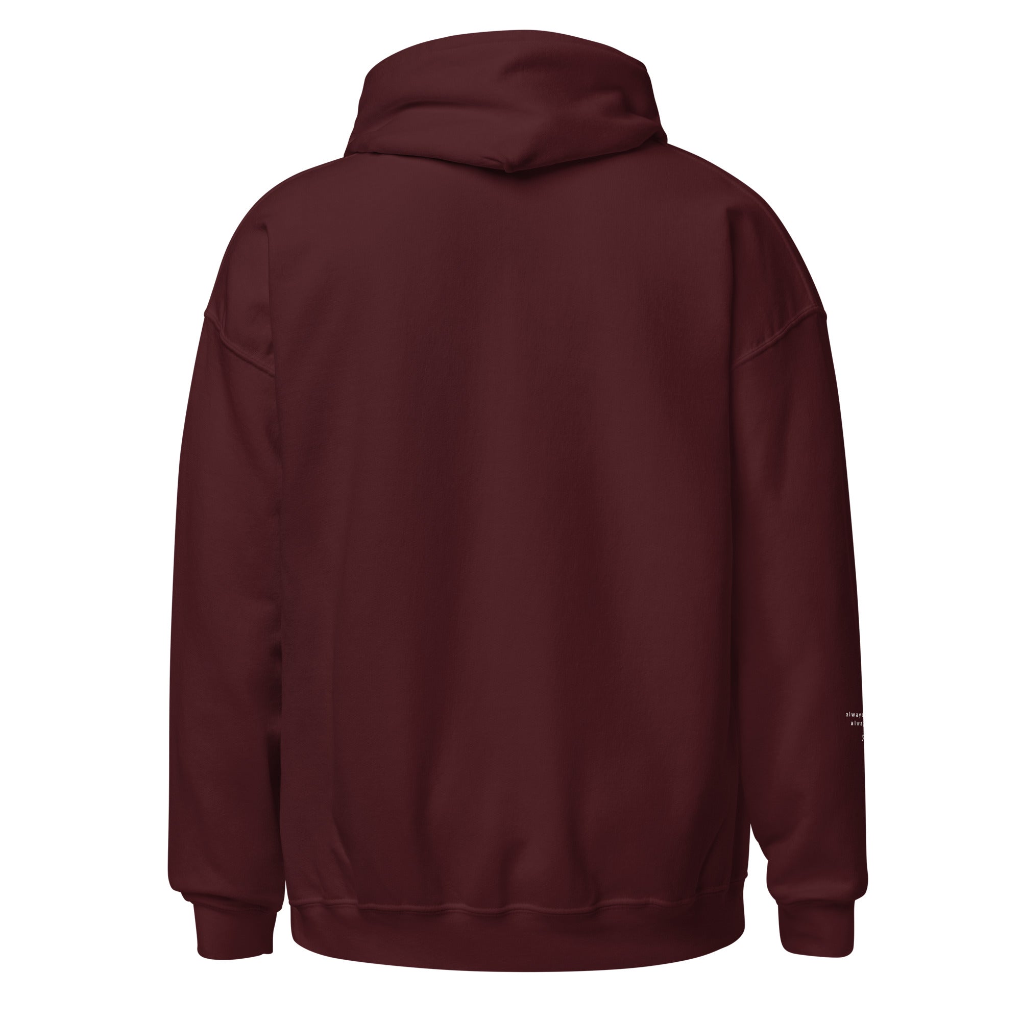 unisex-heavy-blend-hoodie-maroon-back-660858bbb759b.jpg