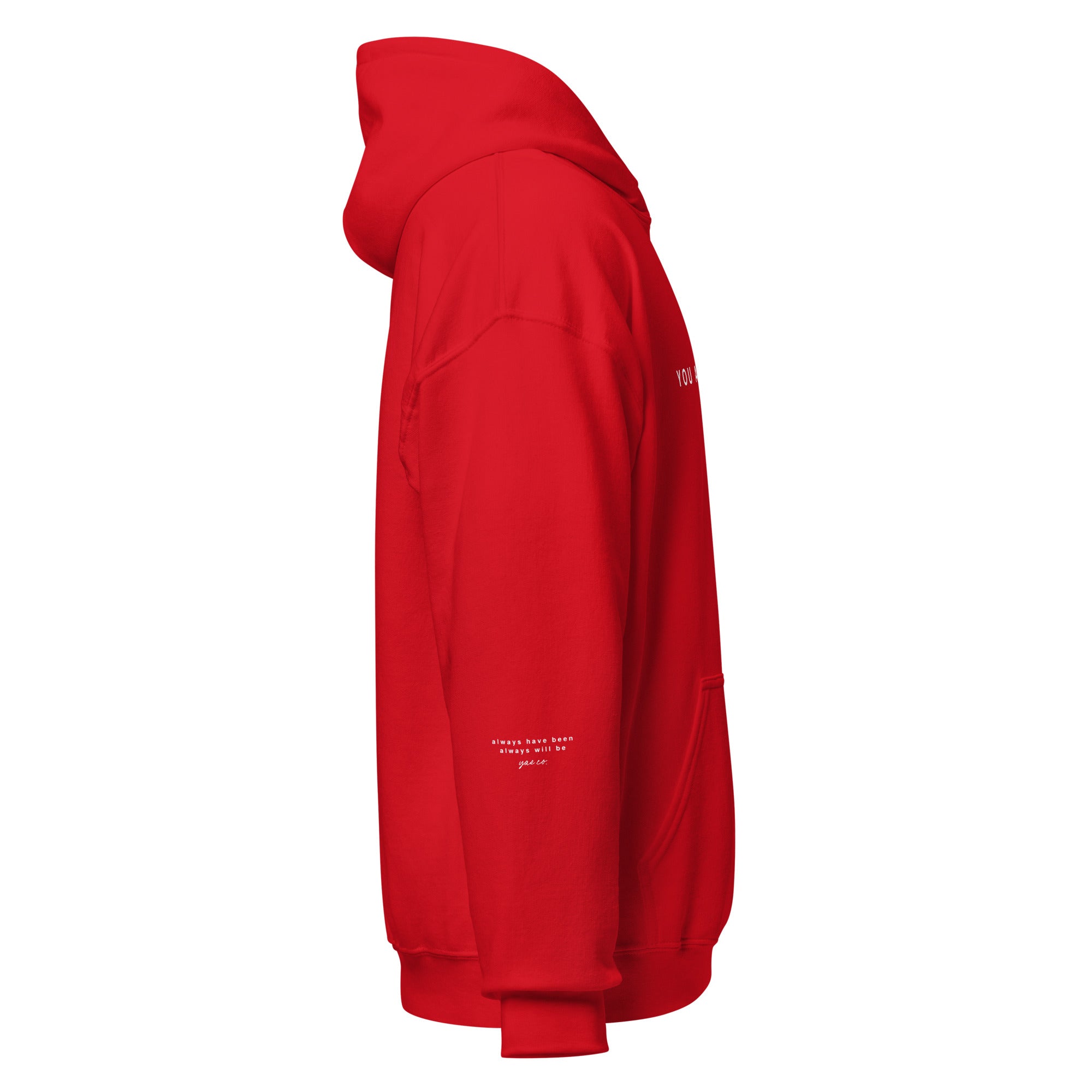 unisex-heavy-blend-hoodie-red-right-660858bbb9abc.jpg